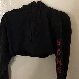john galt cropped dragon hoodie
